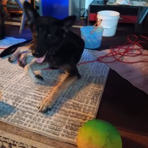 Meet your Posher, Keith